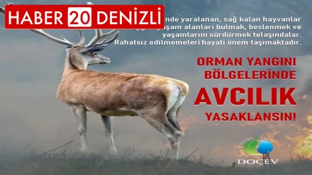 Çevrecilerden 'Yangın bölgelerinde avcılık yasaklansın' talebi
