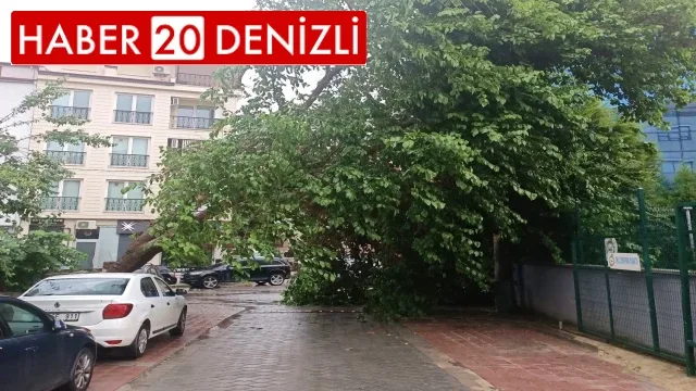 Denizli ve çevre illerde kuvveti fırtına uyarısı yapıldı