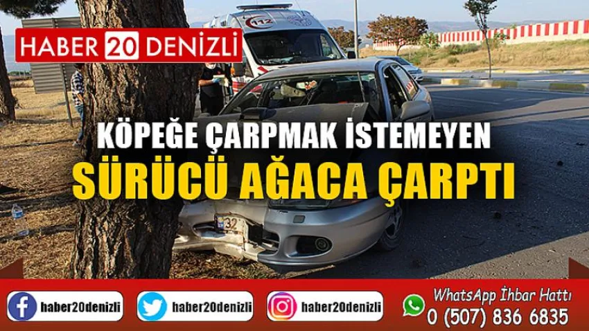Köpeğe çarpmak istemeyen sürücü ağaca çarptı
