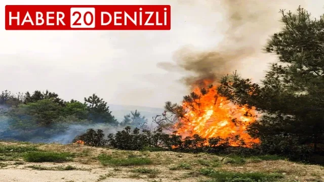 Denizli’de sezonun ilk orman yangını büyümeden söndürüldü