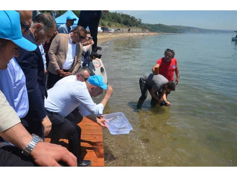“Yaşamın İzinde: Deniz Yuvaları Projesi” Darıca Sahili’nde Büyüyor