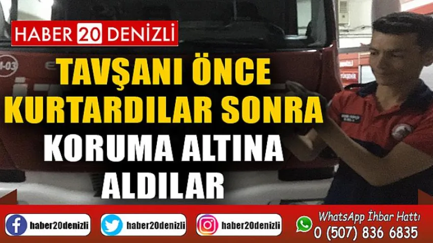Tavşanı önce kurtardılar sonra koruma altına aldılar