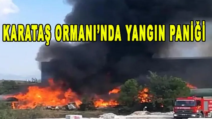 Karataş Ormanı'nda Yangın Paniği