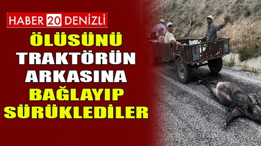 Ölüsünü Traktörün Arkasına Bağlayıp Sürüklediler