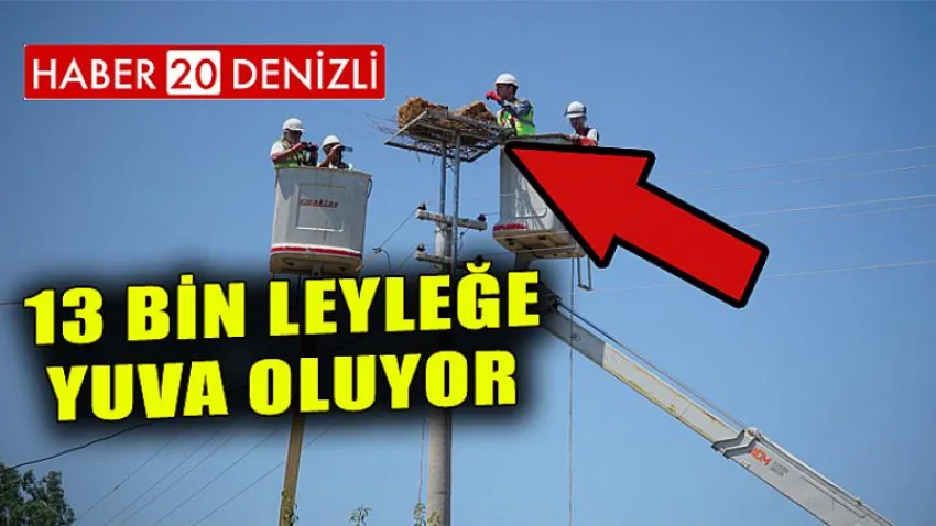 13 bin leyleğe yuva oluyor