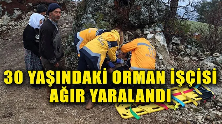 30 Yaşındaki Orman İşçisi Ağır Yaralandı
