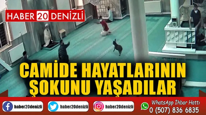 Camide hayatlarının şokunu yaşadılar