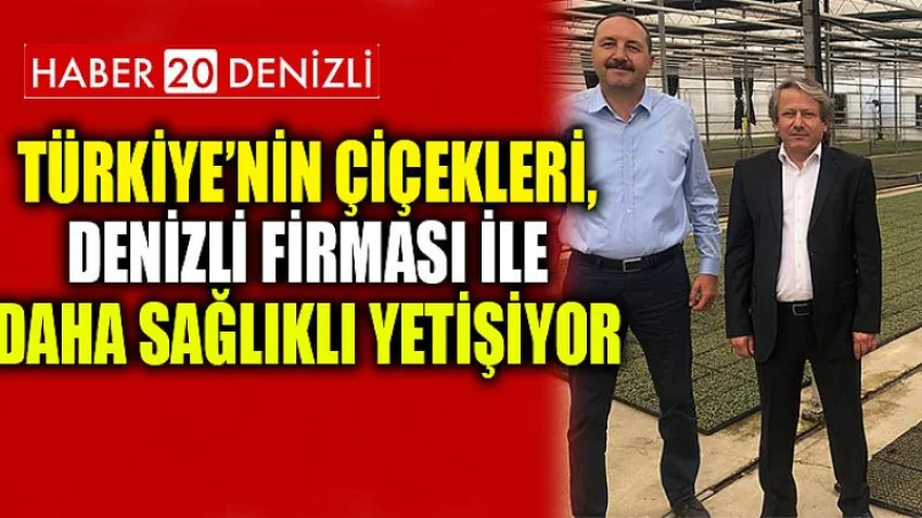 Türkiye’nin çiçekleri, Denizli firması ile daha sağlıklı yetişiyor