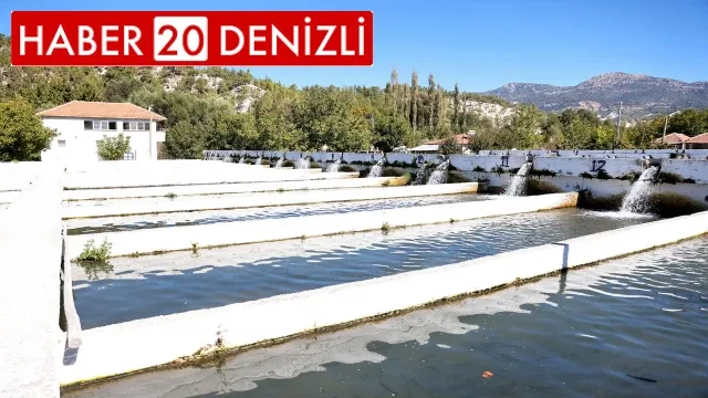 Büyükşehir destekliyor, üreticiler daha çok kazanıyor