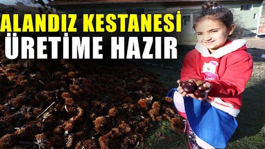 Büyükşehir’den Kırsal Kalkınmaya Büyük Destek