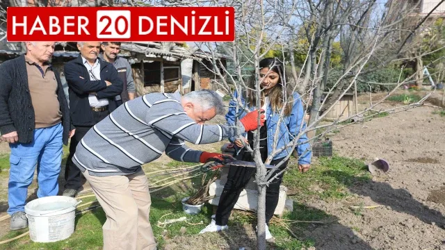 Pamukkale Belediyesinden Budama ve Aşılama Kursu