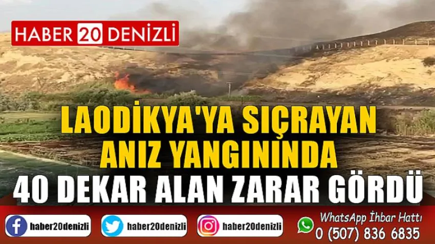 Laodikya'ya sıçrayan anız yangınında 40 dekar alan zarar gördü
