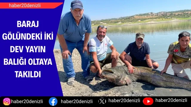 Baraj gölündeki iki dev yayın balığı oltaya takıldı