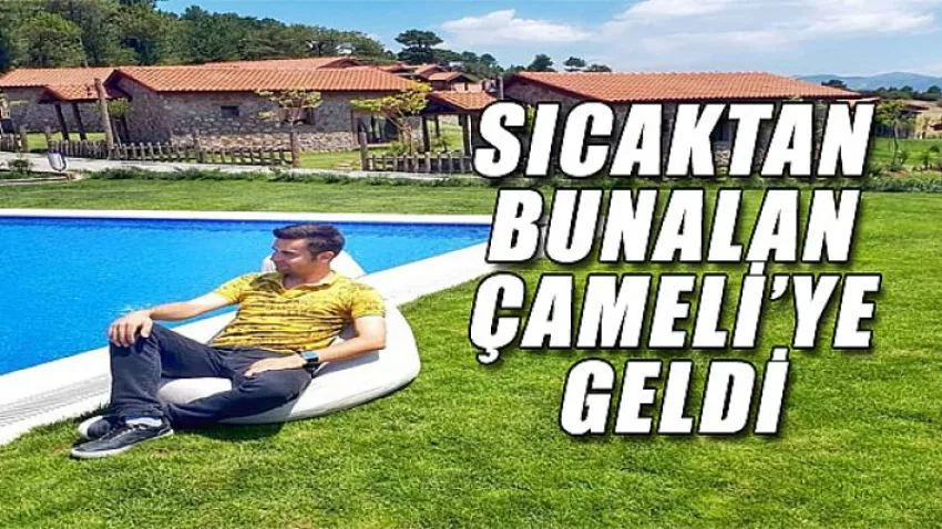 Sıcaktan Bunalan Çameli'ye Geldi