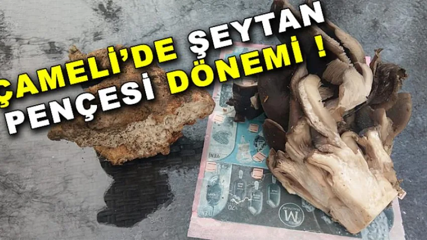 Çameli'de Şeytan Pençesi Dönemi