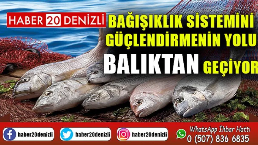 Bağışıklık sistemini güçlendirmenin yolu balıktan geçiyor