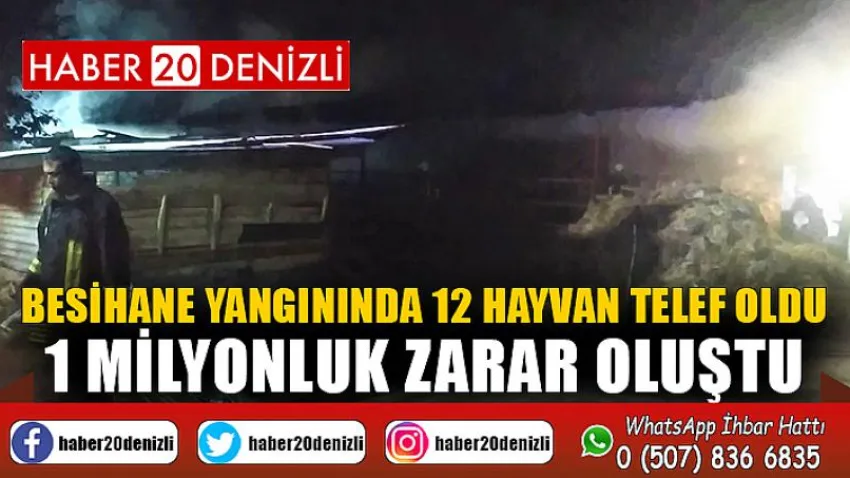 Besihane yangınında 12 hayvan telef oldu, 1 milyonluk zarar oluştu