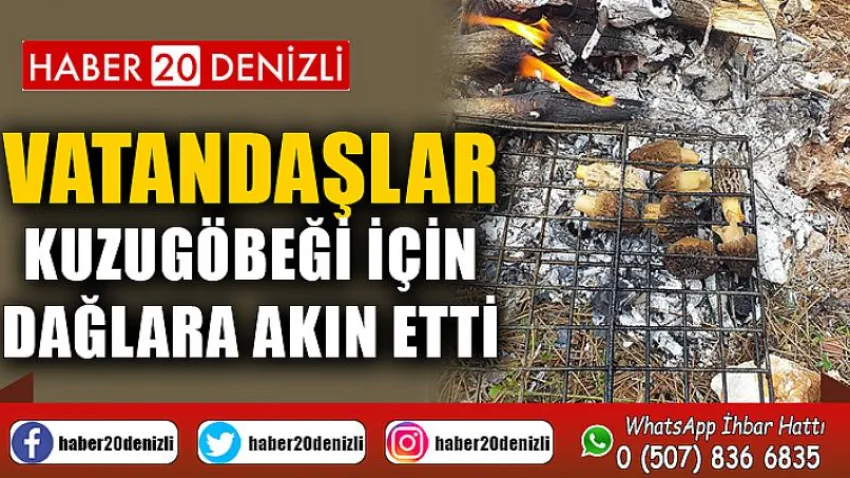 Çameli’de vatandaşlar kuzugöbeği için dağlara akın etti