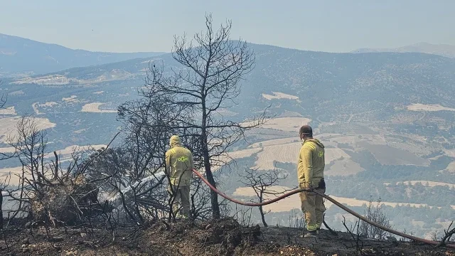 7 hektarlık alanın zarar gördüğü yangında 3 bin hektar orman kurtarıldı