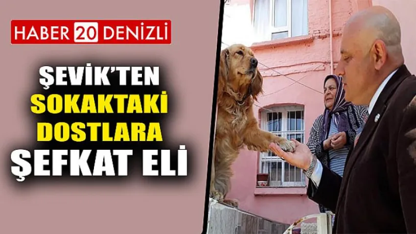 Şevik’ten sokaktaki dostlara şefkat eli