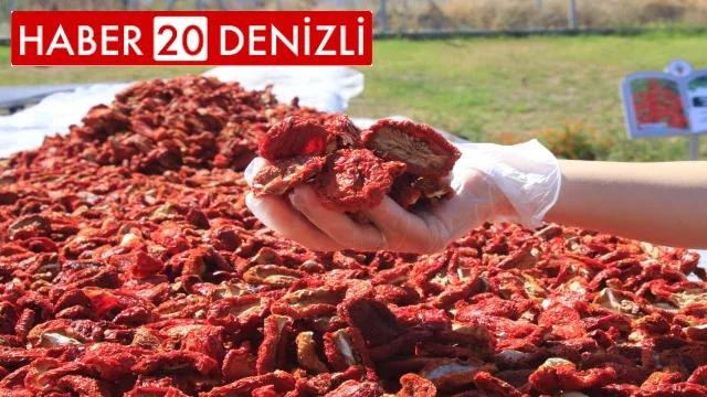 Honaz’ın ata tohumu domatesleri kurutularak değerlendiriliyor