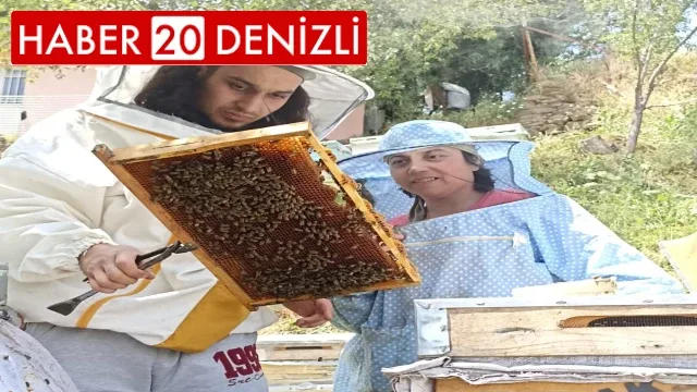 Arıcılardan çevre örgütlerine ilginç sitem: "Arı yoksa peşinden koştukları hayvanlar da olmayacak"