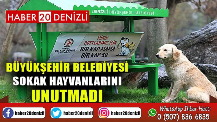 Büyükşehir belediyesi sokak hayvanlarını unutmadı
