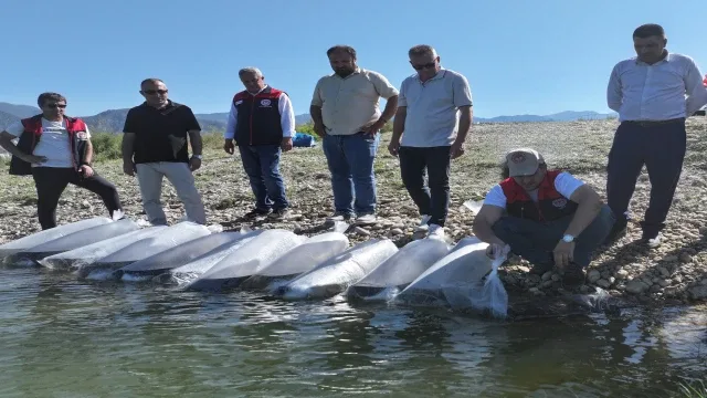 Denizli’de göl ve göletlere 1 milyon sazan yavrusu bırakıldı