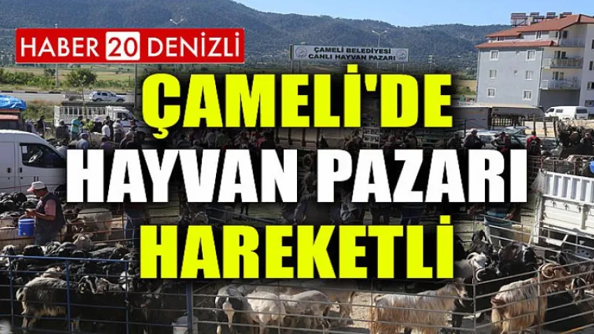 Çameli'de Hayvan Pazarı Hareketli