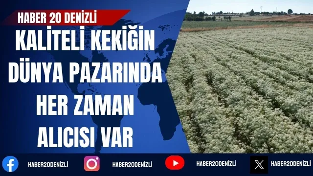 Kaliteli kekiğin dünya pazarında her zaman alıcısı var