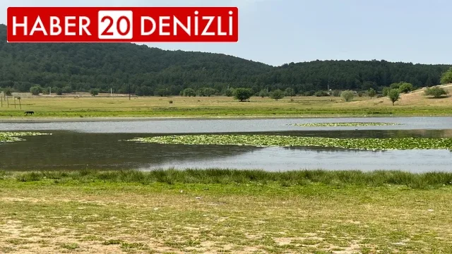Süleymanlı Yayla Gölünde nilüfer şöleni başladı