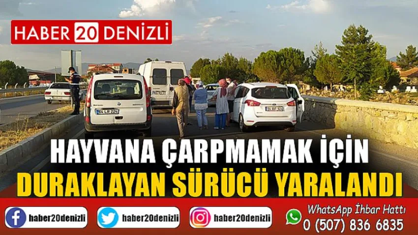 Hayvana çarpmamak için duraklayan sürücü yaralandı