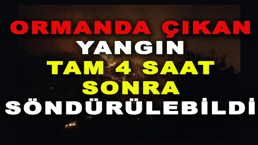Ormanda Çıkan Yangın Tam 4 Saat Sonra Söndürülebildi