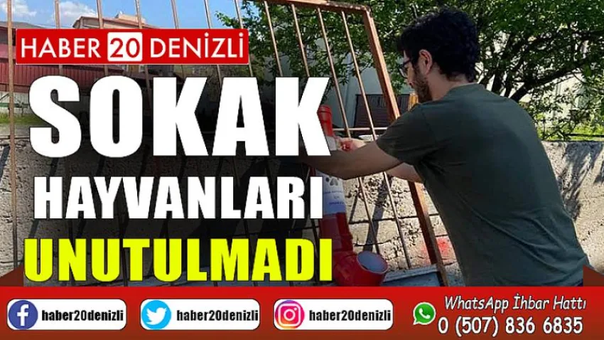 Sokak hayvanları unutulmadı