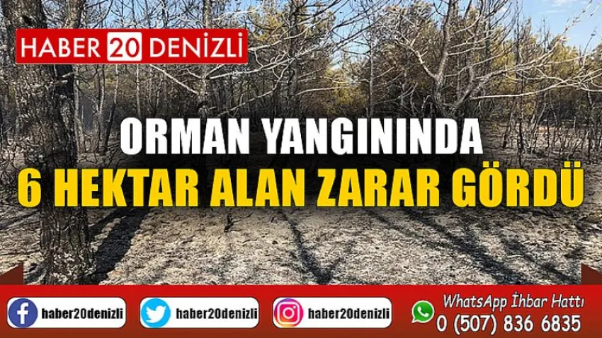 Orman yangınında 6 hektar alan zarar gördü