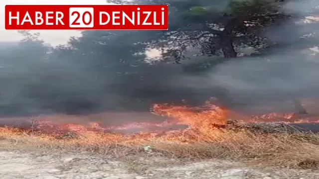 Tripolis'te örtü yangını korkuttu