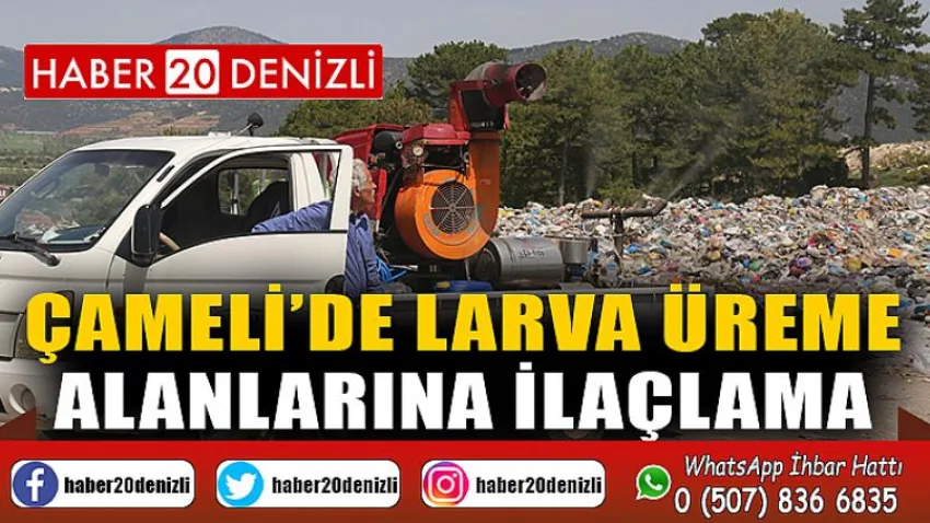 Çameli’de Larva Üreme Alanlarına İlaçlama