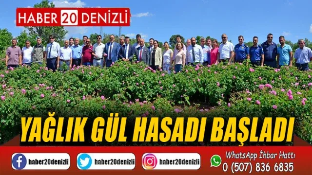 Yağlık gül hasadı başladı