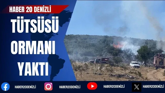 Arıcının tütsüsü ormanı yaktı