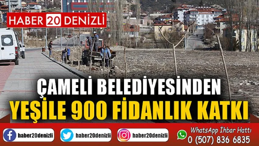 Çameli Belediyesinden yeşile 900 fidanlık katkı
