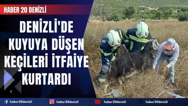 Denizli'de kuyuya düşen keçileri itfaiye kurtardı