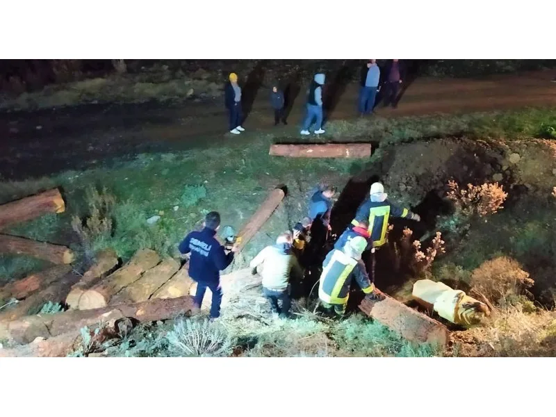 Devrilen tomruk yüklü kamyonun sürücüsü öldü