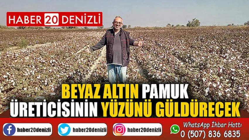 Beyaz altın pamuk üreticisinin yüzünü güldürecek