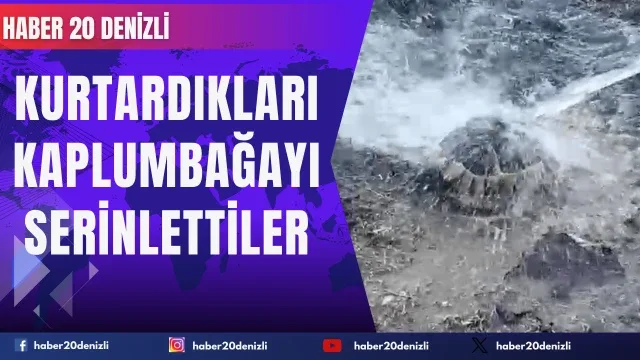 Alevlerin arasından kurtardıkları kaplumbağayı serinlettiler