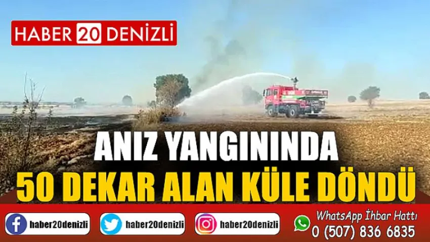 Anız yangınında 50 dekar alan küle döndü