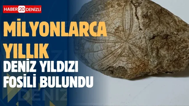 Baklan’da milyonlarca yıllık deniz yıldızı fosili bulundu