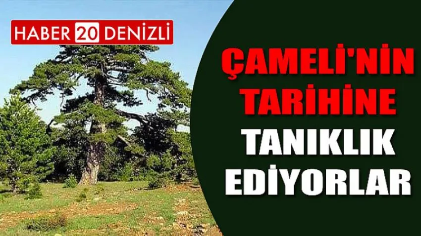 Çameli'nin Tarihine Tanıklık Ediyorlar