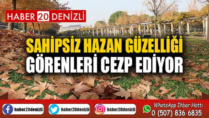 Sahipsiz hazan güzelliği görenleri cezp ediyor