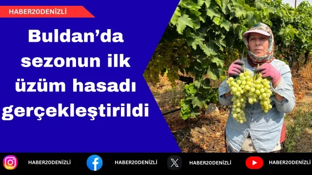 Buldan’da sezonun ilk üzüm hasadı gerçekleştirildi