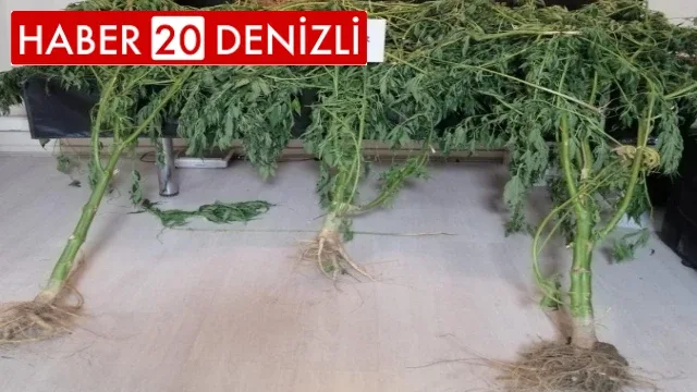 Uyuşturucu operasyonunda 11 tutuklama